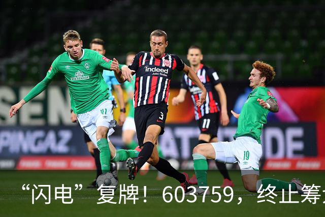 “闪电”复牌！603759，终止筹划重大事项