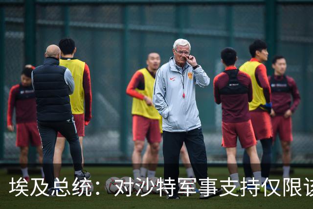 埃及总统：对沙特军事支持仅限该国领土