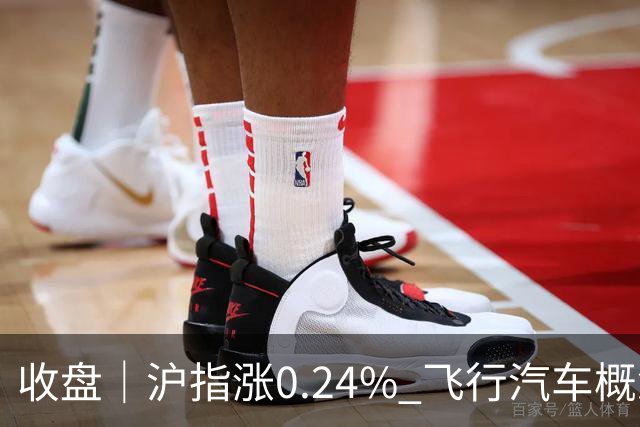 收盘｜沪指涨0.24% 飞行汽车概念股大涨
