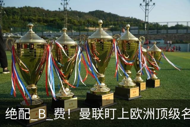绝配 B 费！曼联盯上欧洲顶级名帅！他能彻底激活红魔王牌