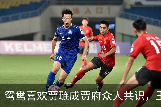 鸳鸯喜欢贾琏成贾府众人共识，王熙凤、贾母和琥珀都明说出来！