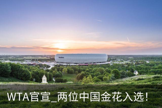 WTA官宣 两位中国金花入选！